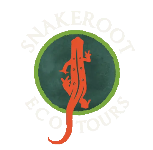 Local Educational Eco Tours