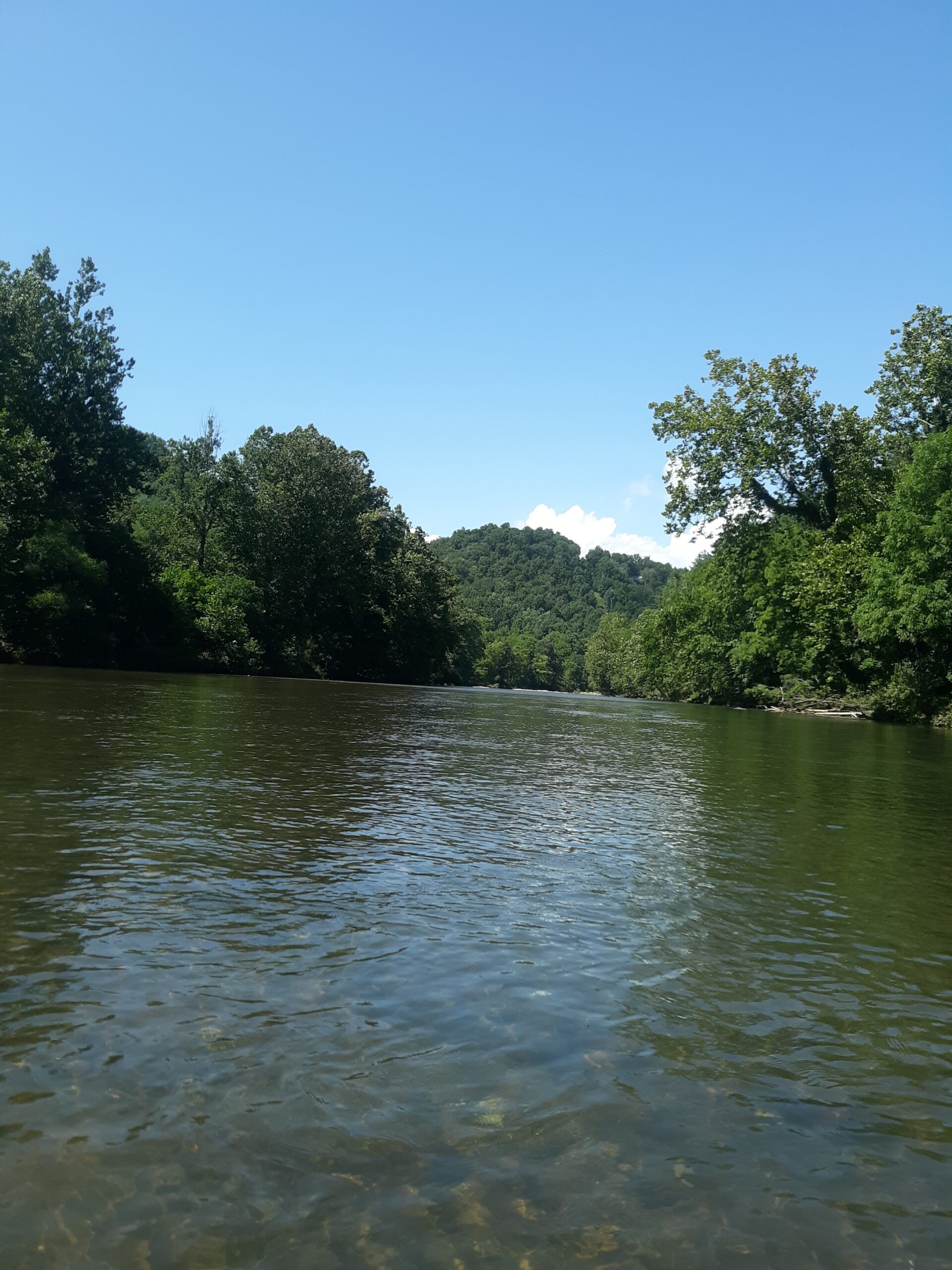 Home 6 North Toe River near Bakersville North Carolina
